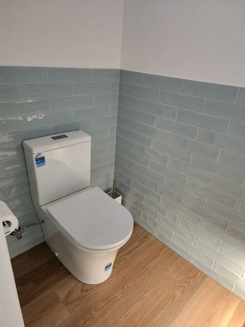 Toilet against a green subway tiled wall above a timber look floor.